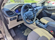 2020 Ford Escape Hybrid